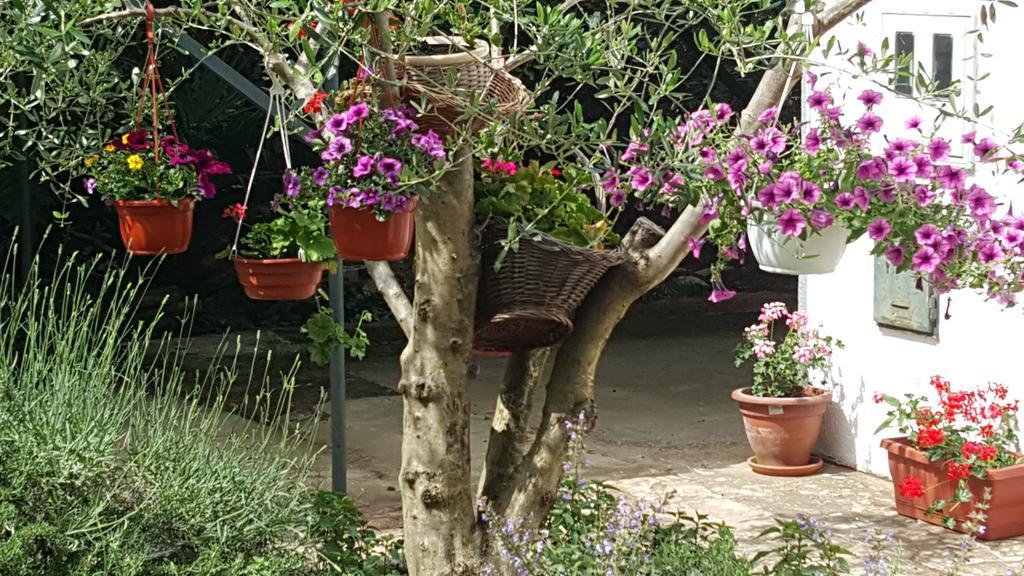 Holiday House Altea بنجول الغرفة الصورة