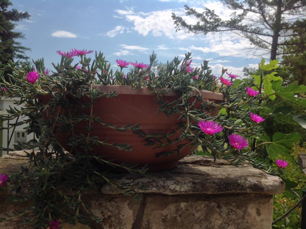 Holiday House Altea بنجول الغرفة الصورة