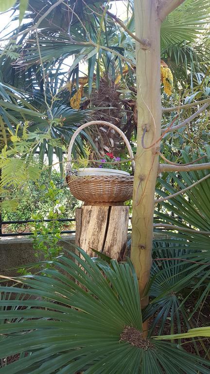 Holiday House Altea بنجول المظهر الخارجي الصورة