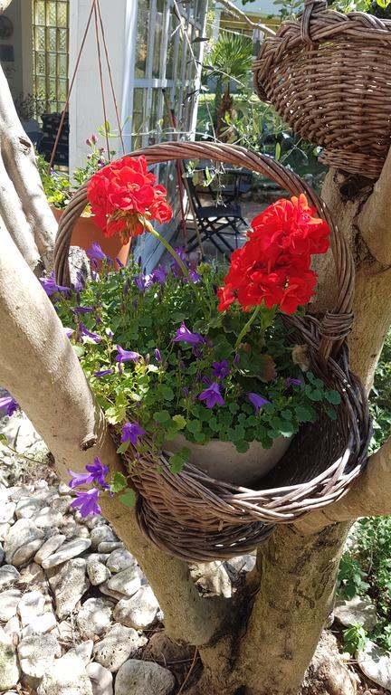 Holiday House Altea بنجول المظهر الخارجي الصورة
